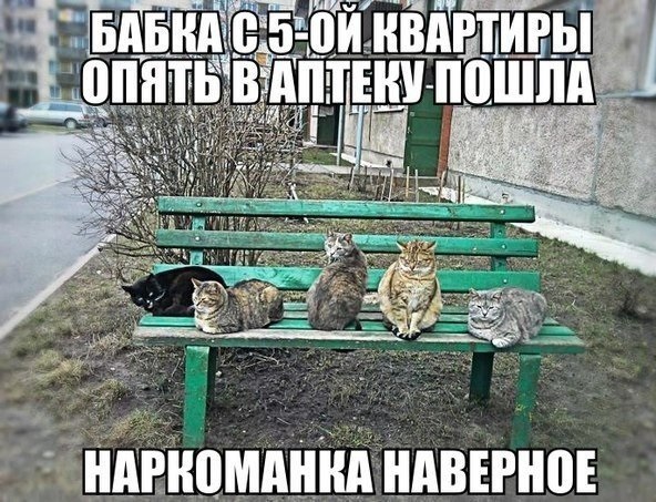 Картинок пост