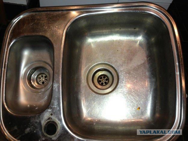 20 предметов, которые ведут себя совсем как мы!