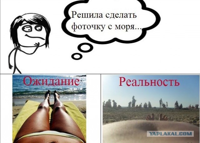 Вестник из соцсетей #12