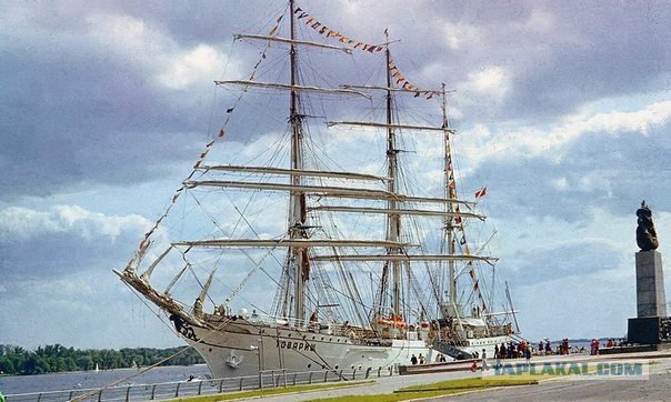 17 фотографий