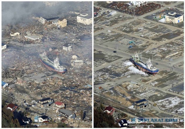 Tsunami: год спустя.