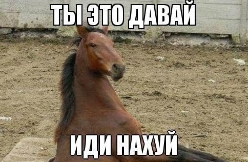 Смешные комментарии из сети.