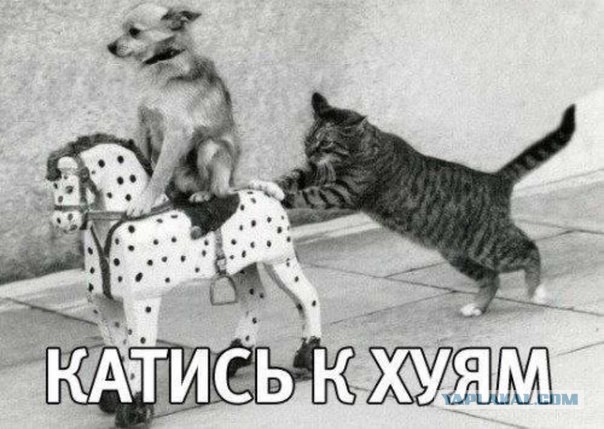 Прямая трансляция из ООН