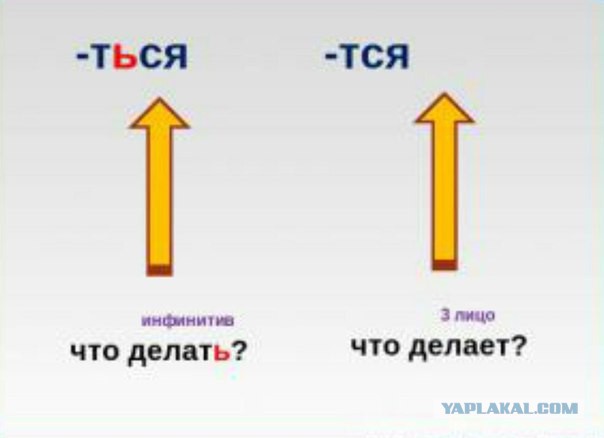 Пёс отомстил