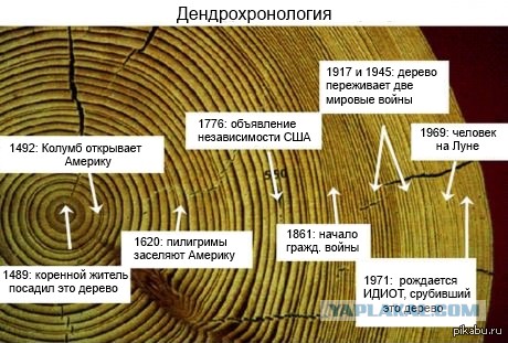 Американские лесорубы конца XIX - начала XX века