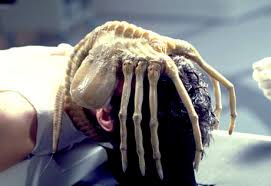 Богомол прыгнул на лицо мальчика