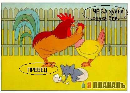 Превед медвед!