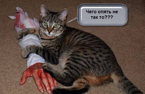 Злые шутки или минутка сарказма на ЯП-е, 16+