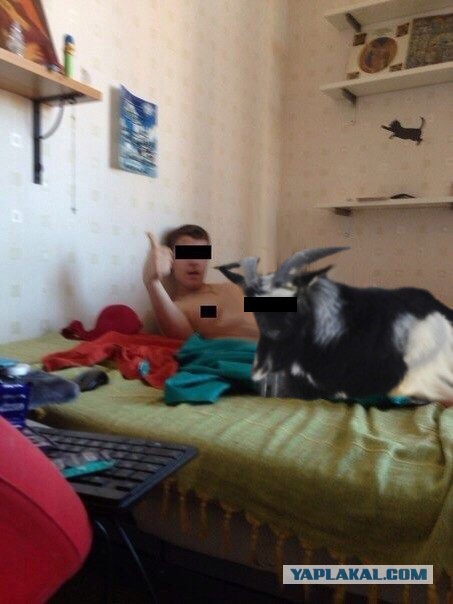 Задержан Тимур, выложивший голую студентку в Интернет