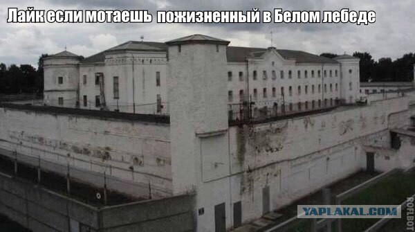 Опрос: Одобряете ли вы работу Путина В.В на посту президента?