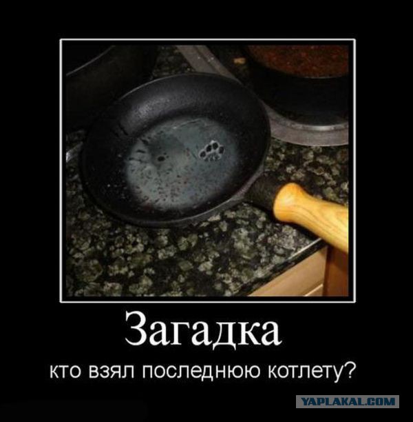 Картинки в черной рамке