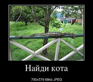 Очень чёрный юмор. Чёрный, как моя душа
