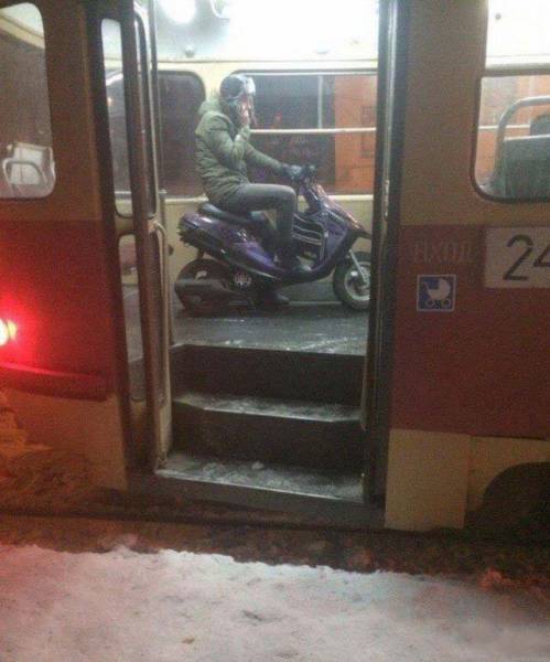 Подборка безудержного веселья