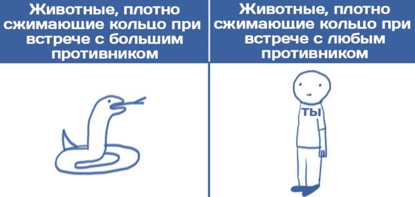 Деградации ЯПу
