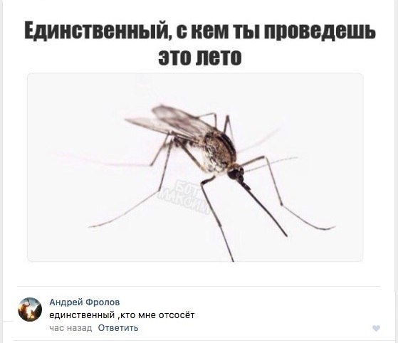 Смешные комментарии  03.06.17
