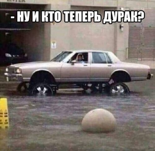 Смешные картинки