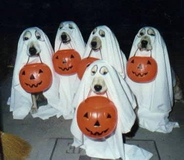 ХЭЛОУИН. Празднуем Halloween