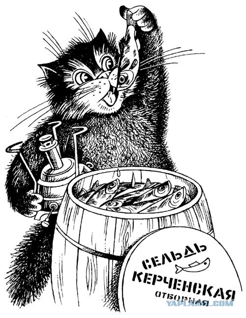 Селедка и человечество.