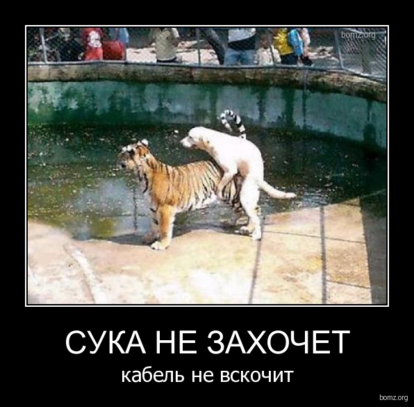 Два педофила из Бабаева осуждены за секс с одной девочкой