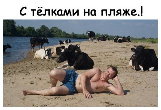 Подборка интересных и веселых картинок