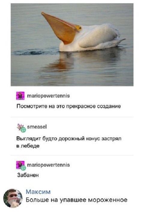 Прикольные комментарии и высказывания из Сети. 26.09. 2018.