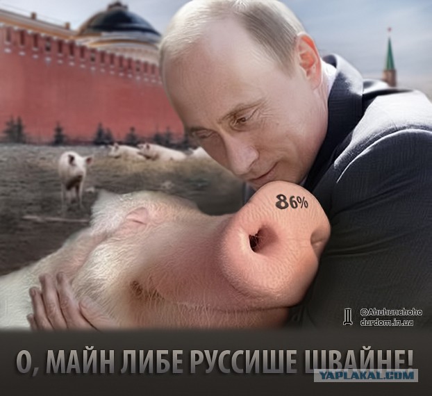 Альфред Кох предсказал воссоединение Украины с Россией