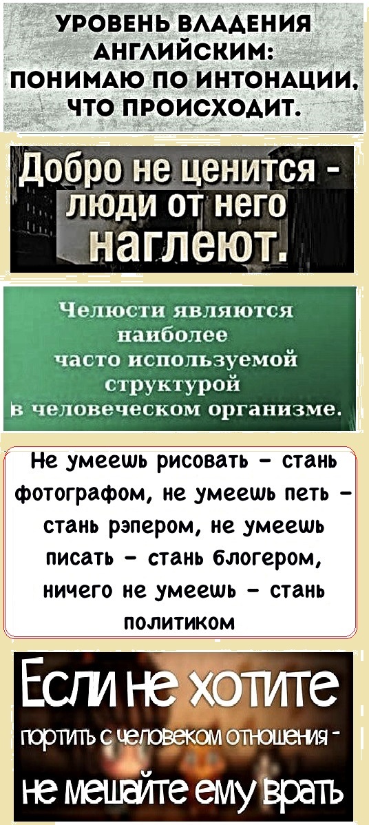 Картинки с надписями, истории и анекдоты