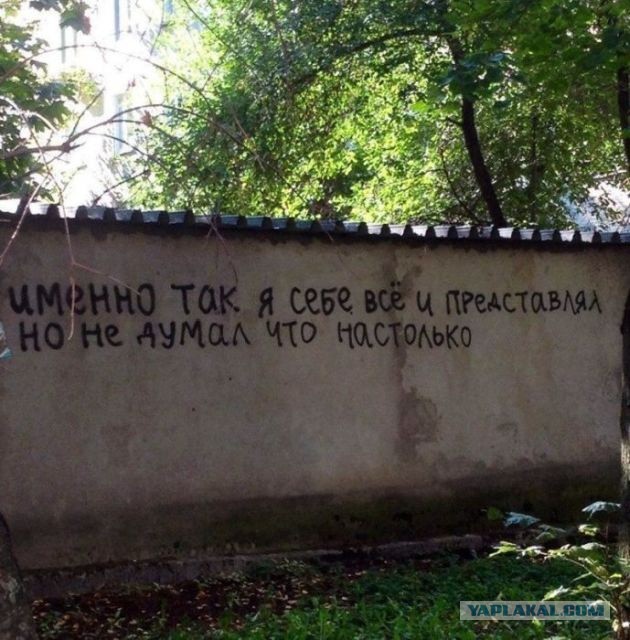 Асфальт, стены, заборы... Так пить или жить?