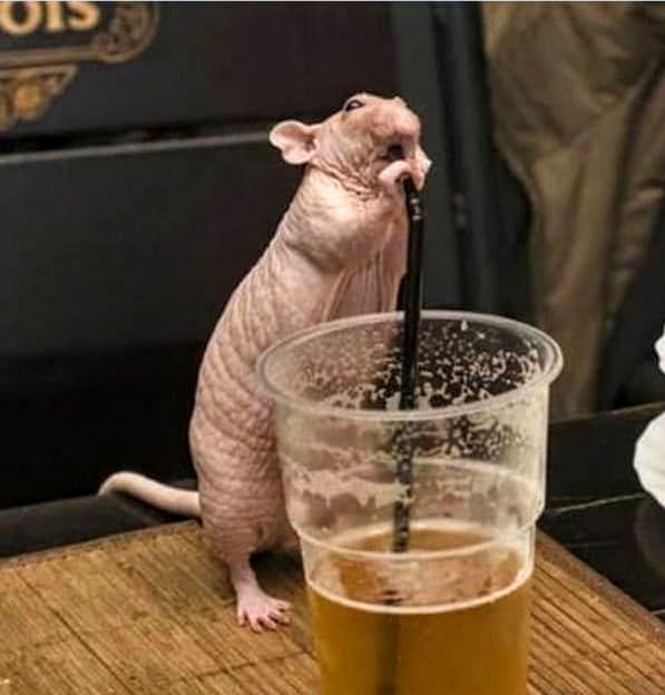 Картинки с надписями 3.08.19