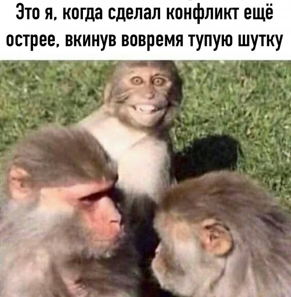 Нестандартный юмор