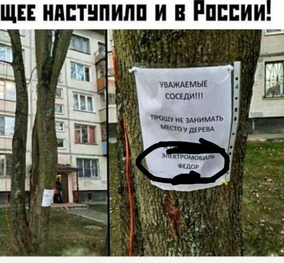 Бредзона из картинок 27.11.19