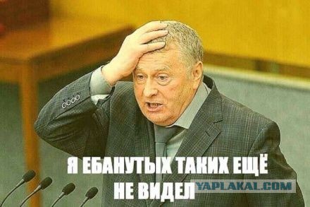 Брачные игрища обитателей леворядья. Минск, Белоруссия