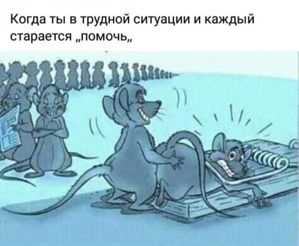 Бредзона 20.03.2020
