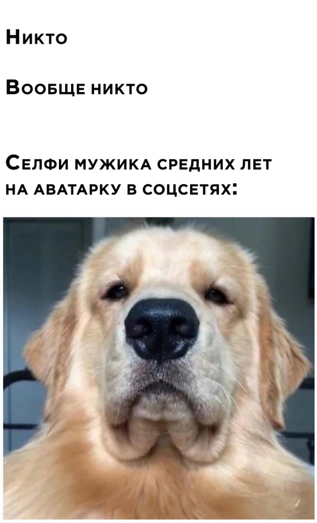 Немного картинок для настроения 19.08.20