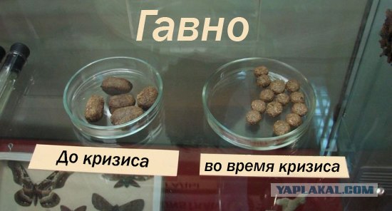 Удивительное рядом