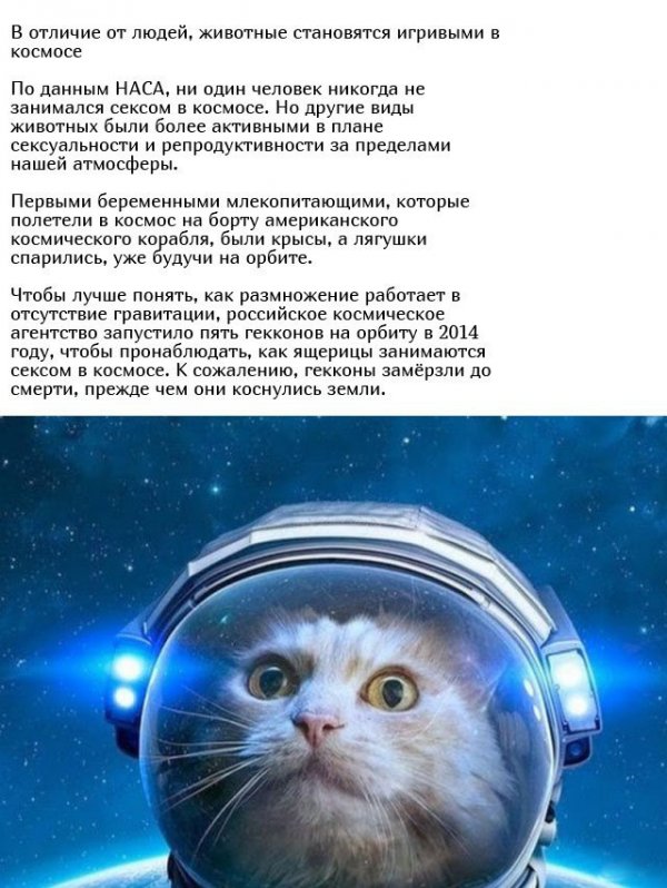 Прикольные и просто красивые картинки 02.10.2020