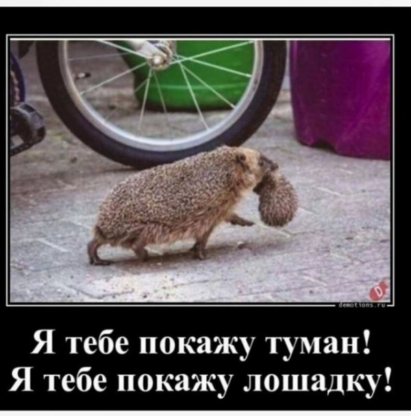 Прикольные и просто красивые картинки 08.12.2020