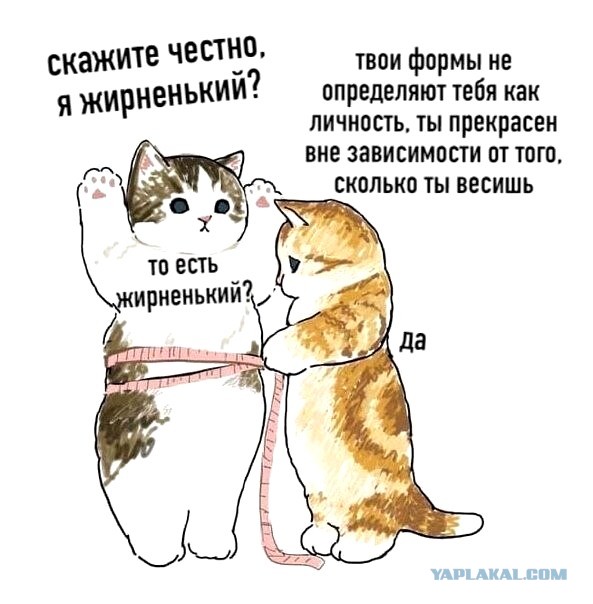 Кота обидеть может каждый