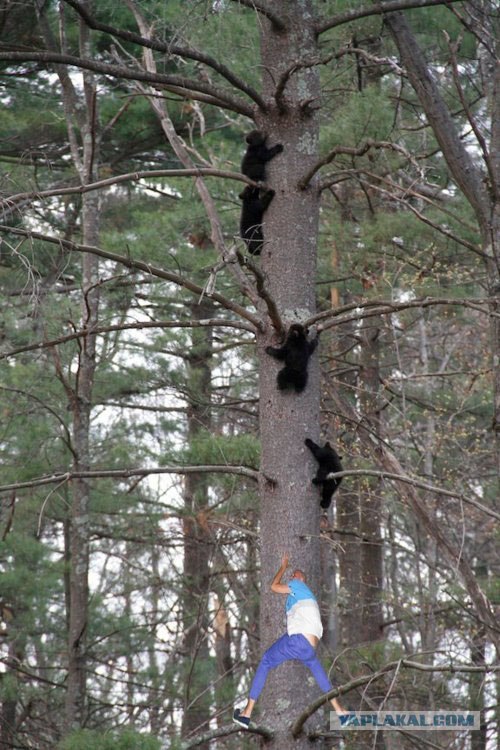 Фотожаба: ...как будто он не пьяный