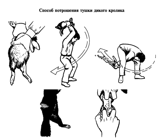 "А шлем точно спасёт ?"