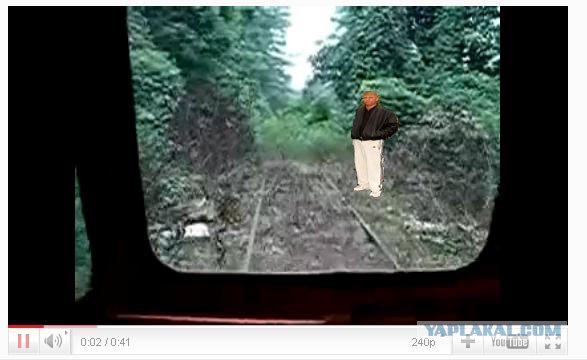 Поезд в лесу