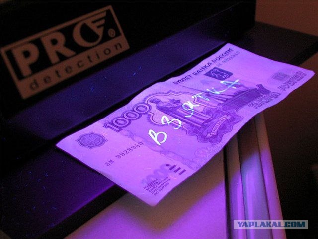 Гражданская позиция или донос?