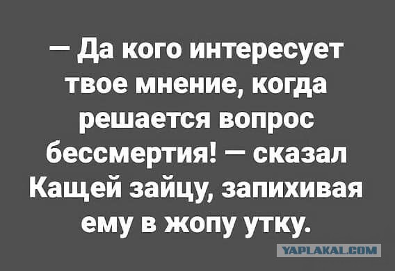 Весёлый полтишок 27.03