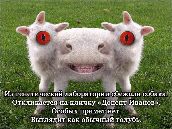 Прямая линия до Кащенко