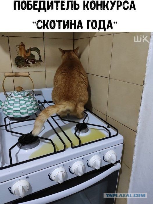 Бредзона 28.06.21