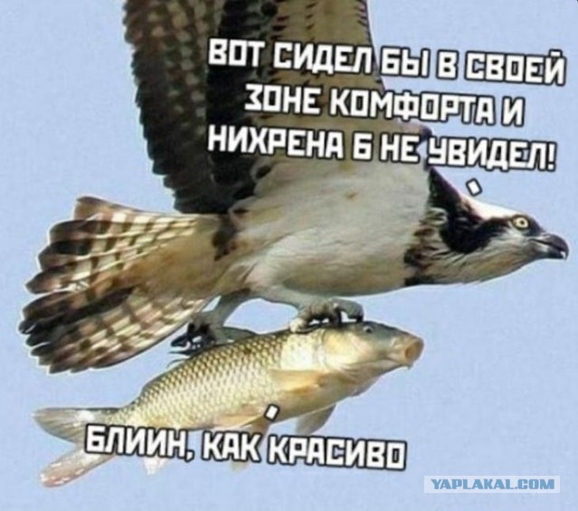 Очередная мразь в такси