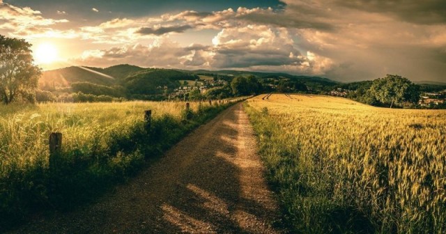 Картинки и мемы для настроения 04.08.2021