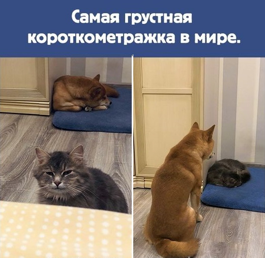 Картинки на выходные 12.12.21