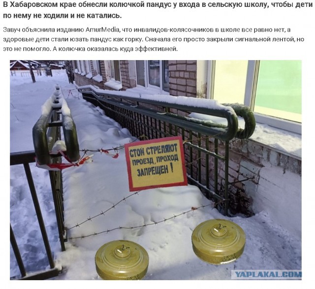 Чуток картинок 16.12.21