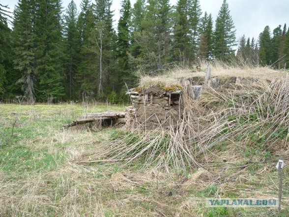 Лесное жилище